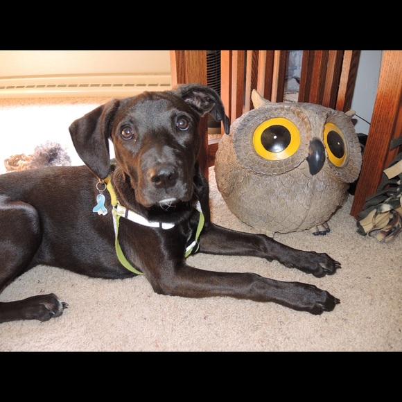 Meet Your Posher - Picture 6 of 8